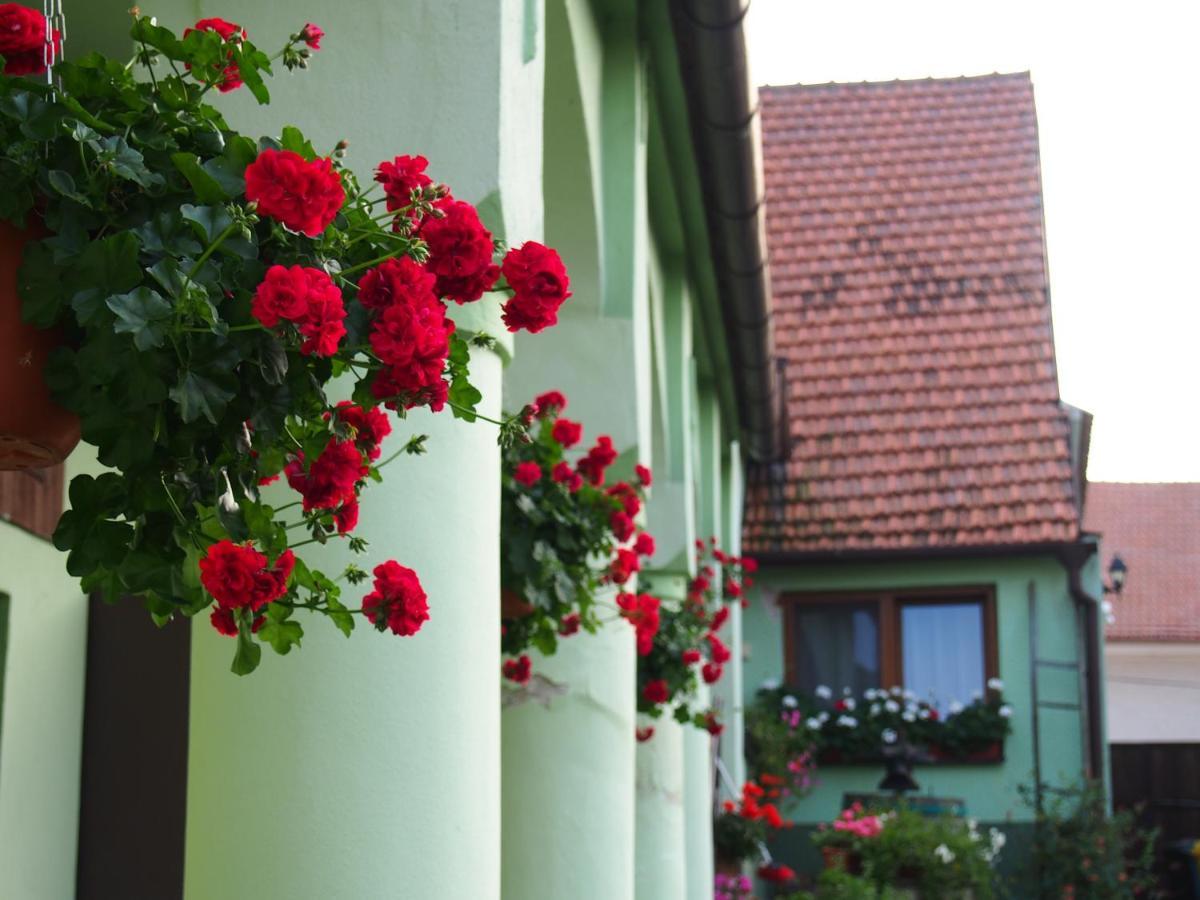 Na Upati Palavy Hotel Horni Vestonice Exterior photo